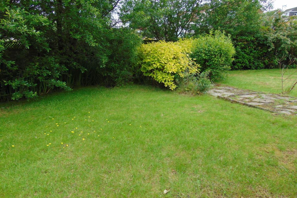 Property photo 14