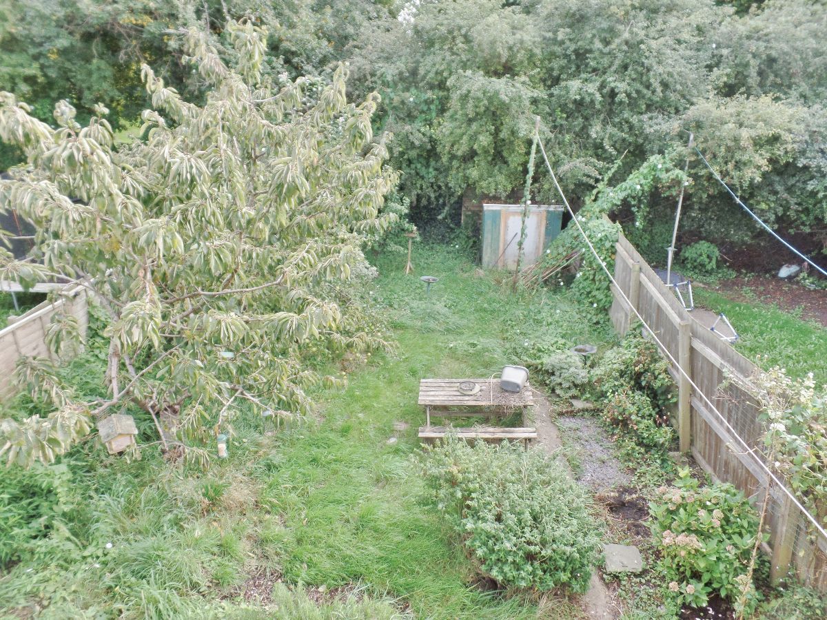 Property photo 15