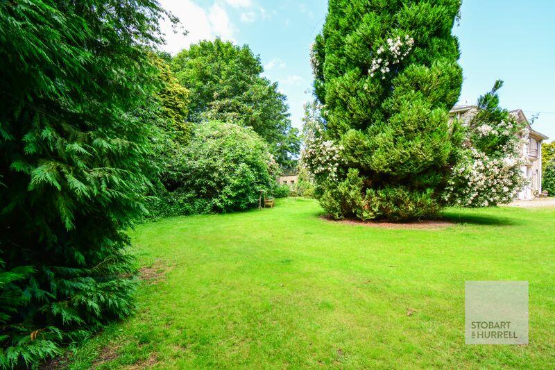 Property photo 39